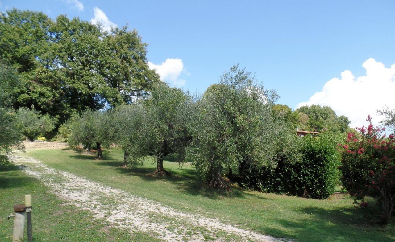 Poggiolindo B&B Capodimonte Exterior foto
